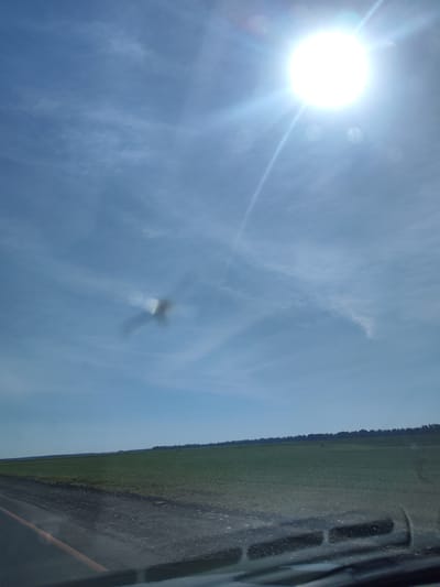 The image depicts a bright, sunlit sky with wispy clouds and lens flare from the sun, which is prominently visible in the upper right quadrant. A blurred, X-shaped object, possibly an insect or debris on a windshield, is visible in the sky. Below the sky is a flat, green agricultural field stretching to the horizon, where a dark line of trees forms a distant treeline. In the foreground, the edge of a road with a gravel shoulder is visible, along with a portion of what appears to be a car's dashboard or windshield wiper area, suggesting the photo was taken from inside a vehicle. The scene is consistent with an outdoor view from a vehicle traveling through a rural area, potentially near Mal'tsevo, Russia, given the agricultural landscape and climate suggested by the clear sky and green fields.