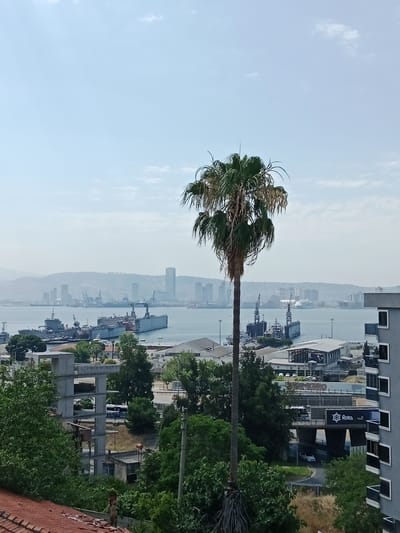 The image captures a view of the city of Bayraklı, Turkey, overlooking a harbor with numerous ships and industrial structures. In the foreground, a prominent palm tree stands tall, its fronds reaching towards a pale blue sky with scattered clouds. The middle ground displays the active harbor with several large vessels, including warships and what appear to be dry docks, along with various cranes and port facilities. The background reveals the urban skyline of Bayraklı, characterized by a cluster of modern high-rise buildings and distant hills shrouded in a light haze. A bridge with visible signage and vehicles, including a bus and a car, is also present in the mid-ground, connecting different parts of the city. The scene is set during daylight, under a bright, overcast sky.
