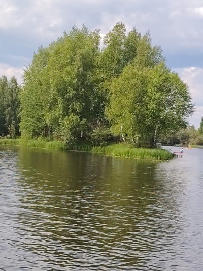 The image depicts a body of water, likely a river or lake, with a lush, tree-covered island in the mid-ground. The water's surface is rippled and reflects the green foliage and the overcast sky. On the right side of the image, a few individuals are visible in red kayaks on the water. The trees on the island are a mix of deciduous species, with dense green leaves. The shoreline of the island is covered in tall green grass. The background shows more trees and vegetation, suggesting a natural, semi-wild environment. The sky is cloudy with patches of blue visible. The location is identified as the city of Vylytdor, Russia.