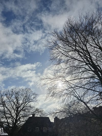The image displays a daytime scene in Münster, Germany, captured from a low vantage point looking upwards towards the sky. The upper two-thirds of the frame consist of a blue sky interspersed with scattered white and grey clouds of varying density. The sun is positioned in the upper-right quadrant, appearing as a bright, obscured glare behind tree branches, casting light from the upper-right direction.
Multiple deciduous trees, devoid of foliage, are silhouetted against the bright sky. A large tree with a dense network of bare branches occupies the right side of the frame, extending from the bottom to the top-right. Another significant bare tree is prominent in the lower-left to mid-left section. Fine branches are visible throughout, particularly against the brighter areas of the sky.
In the lower portion of the image, the silhouettes of architectural structures are discernible. A prominent building is situated in the lower-center to lower-left, featuring a steeply pitched, dark roof, possibly covered in dark vegetation such as ivy. Two windows with light-colored frames are partially visible on its upper facade, along with a chimney on the roofline. Additional indistinct building outlines and roof structures are faintly visible behind the trees on the lower-right side. No individuals or discernible activity are present within the scene.