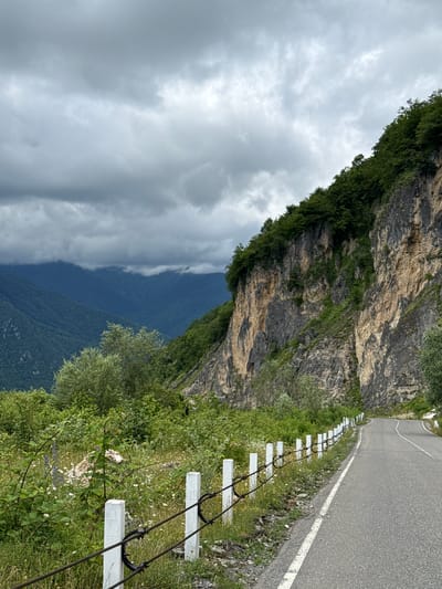 This is a vertical, eye-level, medium shot photograph of a winding asphalt road curving to the right, bordered by a rocky cliff face covered in dense green foliage on the right and a grassy embankment with a white post and wire fence on the left. The cliff face is a mix of light brown and grey rock, with various shades of green vegetation growing on its ledges and at its base. The road has a white solid line on its left edge and a broken white line marking the center. The grassy embankment is thick with green grass, small white wildflowers, and some bushier plants. The fence consists of regularly spaced white posts connected by multiple strands of rusty wire. In the background, a vast expanse of rolling, tree-covered mountains stretches into the distance under a heavily overcast sky with large, dark grey clouds. The scene is set in a natural, mountainous environment, likely along a highway in the city of Orbeli, Georgia, given the characteristic terrain. There are no people or animals visible in the image.