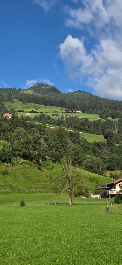 This is a vertical, eye-level, outdoor, daytime photograph taken in Anger, Austria. The scene depicts a vast, lush green meadow in the foreground, with a single, bare-branched tree in the middle ground. Beyond the meadow, the landscape rises into rolling hills covered in dense green trees and dotted with several quaint houses and chalets. Further in the distance, a large, imposing mountain with a peak that has a structure on it dominates the skyline. The sky above is a vibrant blue, with scattered white clouds, suggesting fair weather. The overall impression is one of serene, rural alpine beauty.