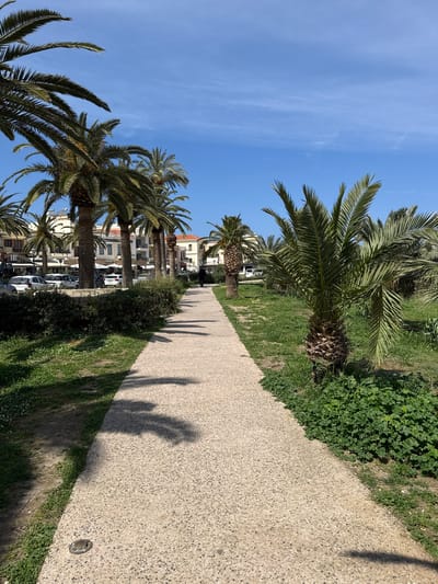 The image depicts a pedestrian walkway lined with palm trees in the city of Rethymno, Greece. The walkway is composed of small aggregate concrete and runs lengthwise through the frame. Palm trees of varying sizes line the left side of the walkway, casting shadows on the path. A grassy verge with interspersed bushes and ground cover borders either side of the path. Buildings are visible beyond the trees on the left, including apartments, businesses with parked cars, and shops. The sky is a clear blue.