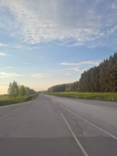 A horizontal outdoor shot presents a road running from foreground to distance. To the left of the road is a view of the sky with white clouds. The road surface is dark gray, and painted white lines divide the lanes. A forest lines the right side of the road. Pedestrian crossing signs are sporadically placed along the roadside. The image captures a tranquil landscape with a naturalistic environment. This location is in the city of Arkhangel'skoe, Russia.