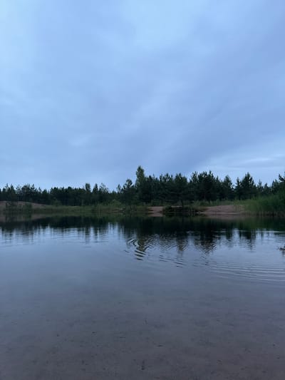 This is a landscape photograph taken from the perspective of someone standing on the sandy shore of a body of water. The image is oriented vertically, as if the camera was held upright but the scene is viewed sideways. The left side of the frame is dominated by a vast, pale blue sky with subtle, wispy clouds. To the right, a dense line of dark green trees forms a natural border between the sky and the water. The trees appear to be pine or fir, with a thick canopy that extends to the water's edge.
The water itself occupies the right half of the frame and is remarkably still, reflecting the sky and the treeline with a slight distortion. Gentle ripples disturb the surface of the water, creating a pattern of light and shadow. The shore to the left of the water appears to be made of light-colored sand, with some scattered debris or vegetation.
The lighting suggests it is either early morning or late evening, as the sky is not brightly lit, and the overall atmosphere is calm and serene. There are no people or man-made objects visible in the image, making it a depiction of a natural, undeveloped landscape. The location is identified as Pobeda, Russia. The overall mood conveyed is one of tranquility and the untouched beauty of nature. There is no visible text in the image.