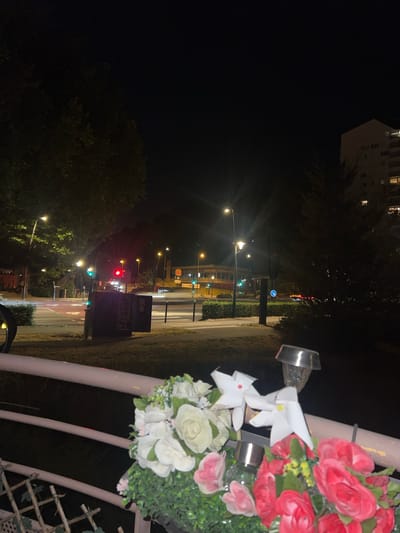 The image, taken at night, appears to be a street scene in Maromme, France. The foreground features a railing with artificial flowers, including white roses, pink roses, and greenery, with a small solar-powered light visible above them. In the background, a road intersection is visible with traffic lights displaying red and green signals, and streetlights illuminating the area. There are buildings in the distance, including a multi-story apartment building and what appears to be a Burger King restaurant with a lit sign. Trees line the street, and a pedestrian crossing is marked on the road. The overall scene depicts a typical urban environment at night.