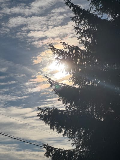 This is a low-angle shot of a pine tree against a sky filled with wispy white clouds and the sun. The sun is partially obscured by the tree's branches, creating a lens flare and highlighting the delicate textures of the clouds with iridescent colors. Two thin power lines are visible stretching horizontally across the lower half of the image, silhouetted against the sky. The scene captures a moment of natural beauty with a touch of urban infrastructure.