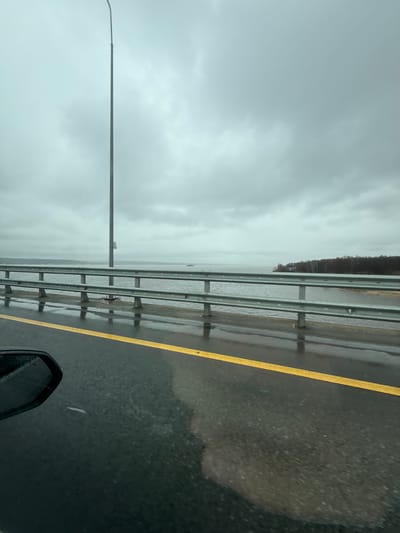 The image shows a section of a highway, likely a bridge, on a rainy day in Сапуголи, Russia. The road surface is wet and features a yellow line marking. A metal guardrail runs along the side of the road, separating it from a body of water or a flooded area. A tall light pole is visible in the distance. The sky is overcast, creating a grey and muted atmosphere. Part of the side view mirror of a vehicle is visible in the bottom right corner of the image. The scene appears to be devoid of people.