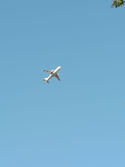 An airplane is visible in the clear blue sky. The airplane is white and has its landing gear down, suggesting it may be taking off or landing. In the upper right corner of the image, a few green leaves are visible, indicating the presence of trees. The image was taken in Haacht, Belgium.