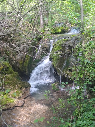 The image shows a small waterfall in Chelopek, Bulgaria. The water cascades over moss-covered rocks in a wooded area. Foliage, including branches and leaves, frames the scene. The water appears to be flowing rapidly.