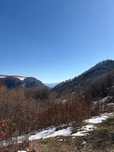 The image depicts a panoramic view of a mountainous landscape in the vicinity of Babintsi, Bulgaria, under a clear, bright blue sky. The upper third of the frame is dominated by the cloudless blue sky. The midground and background feature undulating mountain ranges. To the left, distant mountains show patches of snow, with a steep, dark cliff face visible below. To the right, a prominent hillside rises, densely covered with leafless deciduous trees and bushes displaying brown foliage, indicating a late winter or early spring season. Patches of white snow are scattered across the slopes, particularly in the lower right portion of the image, interspersed with areas of exposed brown earth and dry grass. A valley recedes into the distance between the two main mountain formations, revealing faint, snow-capped peaks on the horizon. There are no individuals, animals, or man-made structures immediately visible within the scene.