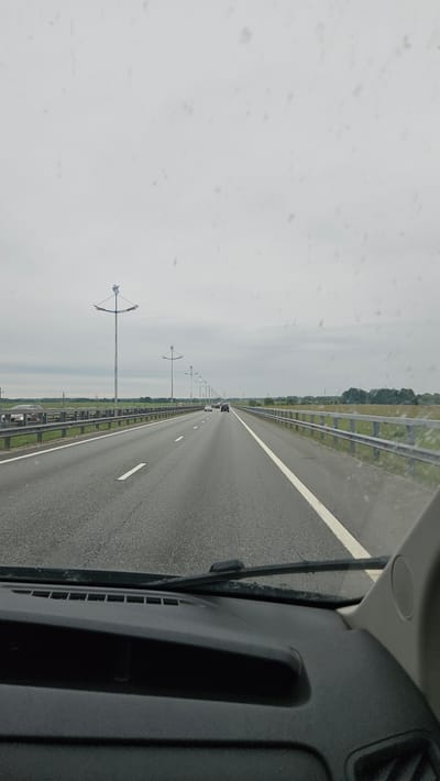 This is a perspective shot from inside a vehicle, looking out at a highway in Muromskoye, Russia. The camera is tilted, giving a sense of motion along the road. The highway stretches into the distance, with a white line dividing the lanes and reflective markers on the right side. On the left side of the highway, there are rows of streetlights with a distinctive modern design, each topped with a curved structure. Beyond the streetlights, there is a flat landscape with greenery and trees in the distance. The sky is overcast and a muted grey, suggesting a cloudy day. A few vehicles are visible on the highway, including black cars and white vans. The interior of the vehicle is partially visible on the right, showing dark grey plastic paneling and part of the dashboard. There is no visible text in the image. The overall impression is one of a journey on a typical, somewhat overcast day in a rural or suburban highway setting in Russia.