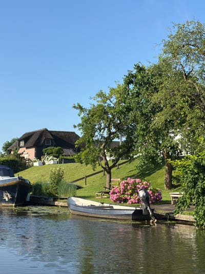 A tranquil waterscape scene in Rhenoy, Netherlands, captures a quaint Dutch canal lined with lush greenery and a charming, thatched-roof house situated on a gentle slope. Two boats, a larger dark-hulled vessel and a smaller open one with an outboard motor, are moored by the water's edge. The smaller boat, positioned closer to the foreground, is a dark grey hull with a white interior, equipped with a black outboard motor at its stern. The larger vessel, dark blue with a thick rope fender, rests further back. The water's surface is calm, reflecting the bright blue sky and the surrounding vegetation. A vibrant cluster of pink hydrangeas blooms near a wooden bench on the grassy bank, adding a splash of color to the scene. The house, a traditional Dutch design with a dark thatched roof and brick facade, is nestled amongst trees and manicured lawns. The overall impression is one of peaceful rural life, bathed in the warm light of a clear, sunny day.