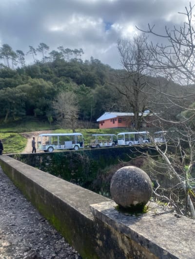 The image displays an outdoor natural scene in Mafra, Portugal, viewed under an overcast sky. In the immediate foreground, a grey concrete barrier or bridge parapet, partially covered with green moss, extends diagonally from the lower left to the middle right. A spherical, moss-accented stone ornament rests on a wider section of this parapet on the right. Below the barrier, dense, dark green foliage is visible.
A dirt path, elevated above the foreground structure, traverses the midground. Lined up along this path are five white, open-sided electric tour vehicles, each featuring multiple rows of seats; the second vehicle from the left exhibits camouflage-patterned seating. A male individual, dressed in dark clothing, is walking from left to right on this path, positioned between the path's edge and the first vehicle. A partially visible figure is present on the far left of the path.
Further up the rising terrain, an orange-colored building with a grey roof and dark-framed windows is situated amidst a mix of bare deciduous trees and various evergreen trees. The background is dominated by a steep, densely forested hillside composed primarily of evergreen trees, with a distinctive line of taller pine trees visible along the upper ridge. The sky overhead is heavily clouded, with some brighter patches indicating breaks in the cloud cover.