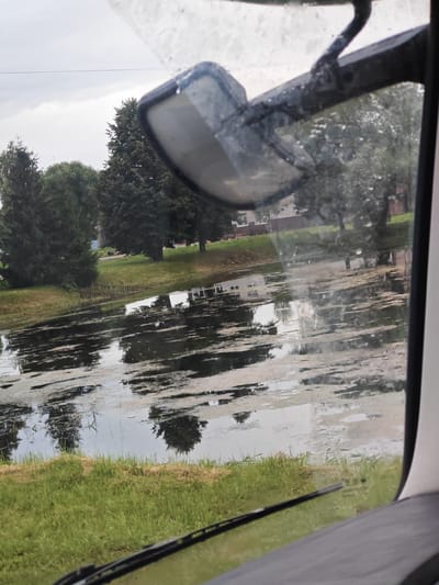 A reflection is visible in a slightly dirty rearview mirror, showing trees and a cloudy sky. Below the mirror, a body of water, possibly a pond or lake, is covered with a light layer of algae or scum. Trees line the bank of the water, and beyond them, buildings are visible, indicating an urban or suburban setting. A grassy area separates the water from the buildings. The image appears to be taken from inside a vehicle, as a portion of the windshield and a wiper blade are visible in the foreground. The overall scene suggests a natural or semi-natural environment within a populated area.