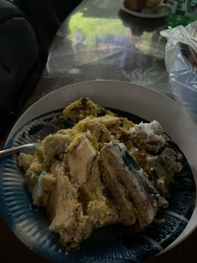 A plate of cake sits on a table in Rosenovo, Bulgaria. The cake is cut and messy, with several pieces on the blue and white patterned plate. A fork is visible in the left side of the plate. In the background, a plastic bag and a green bottle are visible on the table. The table appears to be made of a reflective material, showing reflections of the environment, including greenery. A dark object, possibly a bag or backpack, is in the upper left corner of the image.