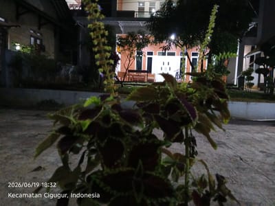 The image depicts an outdoor scene at dusk or night in Cigadung, Indonesia. In the foreground, a leafy plant with dark red and green foliage dominates the frame. The plant's leaves are detailed, with some appearing to have ruffled edges. Its stalk extends upwards, bearing small, light-colored flowers or seed pods.

In the background, a building with orange and white walls is visible. It features several windows and doors, with lights on inside some of them, suggesting the time is evening. A bench is placed in front of the building, and a bicycle leans against a wall nearby. Trees are scattered around the building, with some illuminated by artificial lights, creating a slightly eerie atmosphere. The ground appears to be paved with concrete or stone.

The text overlay at the bottom left of the image indicates the date and time as "2026/06/19 18:32" and the location as "Kecamatan Cigugur, Indonesia." The overall mood is somewhat subdued, likely due to the low light conditions and the focus on the plant in the foreground.