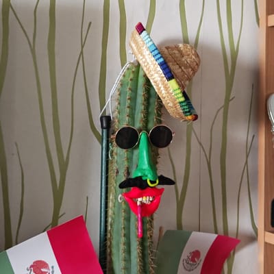 A cactus is adorned with a sombrero, sunglasses, a green nose, a mustache, and a large pair of red lips with a tongue sticking out. It has a green cane propped up next to it and is surrounded by two Mexican flags. The background is a wall with light beige and green vertical lines resembling trees. The location is not Ketoshi, Russia.