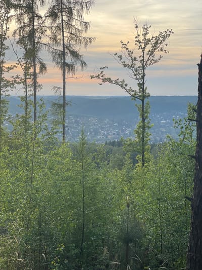 The image shows a view from a wooded area in Jíloviště, Czechia. In the background is a town nestled in a valley, with houses visible. The sky has sunset hues of orange and yellow. The foreground is filled with trees and foliage, including young saplings with green leaves. Some bare tree branches are visible against the sky. The perspective is looking down towards the town.