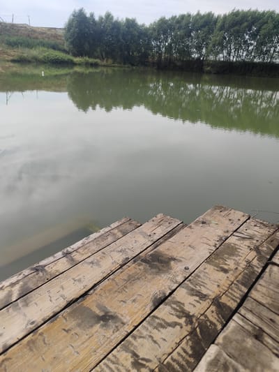 This media file depicts a serene natural scene by a body of water. The foreground is dominated by a rustic wooden dock, composed of weathered planks showing signs of age and exposure to the elements. The texture of the wood is rough, with visible grain, knots, and some darker, possibly water-stained areas.

Beyond the dock, a calm body of water reflects the sky and the surrounding landscape. The water has a muted, greenish-grey hue, suggesting it might be a lake or a slow-moving river. The reflection on the water's surface is clear, showing the shapes of clouds and the trees lining the opposite bank.

The background features a line of lush green trees, their foliage dense and forming a distinct silhouette against a hazy sky. The trees appear to be of a consistent height, creating a uniform band along the water's edge. To the left of the trees, a gently sloping embankment covered in dry grass and some scrubby vegetation rises. A power line is faintly visible stretching across the top left of the frame, suggesting a nearby settlement or infrastructure.

The lighting suggests it is daytime, likely overcast or early morning/late evening, as the light is diffused and there are no harsh shadows. The overall mood is tranquil and peaceful, evoking a sense of quietude and natural beauty. The location is identified as Dolan, Kazakhstan. There is no discernible activity or event taking place, other than the passive observation of the natural environment. No people or text are visible in the image.