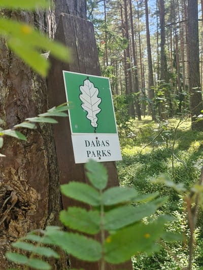 A sign for "Dabas parks" (Nature Park) is attached to a wooden post next to a pine tree trunk in a forest. The sign has a green background with a white oak leaf emblem at the top, and the text "DABAS PARKS" in black capital letters below. The forest floor is covered in low-lying green vegetation, and taller pine trees with a clear sky visible above dominate the background. The image appears to be taken during daylight hours, with sunlight filtering through the trees, creating patches of light and shadow on the ground. The area is part of the Dabas Parks nature reserve located in Mērsrags, Latvia.