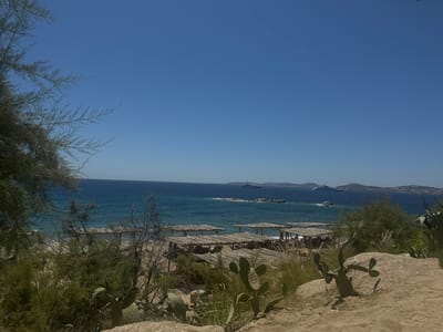 The image depicts a scenic beachside in Ornos, Greece, characterized by a clear blue sky. In the foreground, arid terrain is visible with scattered rocks and vegetation, including prickly pear cacti and dry grasses. A patch of dense green shrubs occupies the lower left portion of the frame. Beyond the immediate foreground, a sandy beach stretches out, dotted with numerous wooden beach umbrellas and loungers, suggesting a place for relaxation and sunbathing.
The middle ground showcases the turquoise waters of the Aegean Sea, with gentle waves lapping the shore. Several rocky outcrops are present in the sea. Further out at sea, at least two large yachts or cruise ships are visible, hinting at maritime activity. The coastline in the distance is characterized by a chain of hills and possibly some structures, indicating a populated area. The overall impression is one of a tranquil, sunny day at a Greek beach.