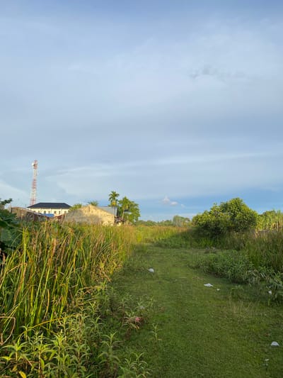 The image depicts an outdoor scene, likely in a rural or semi-urban area, under a bright, partially cloudy sky. In the background, a tall telecommunications tower, painted red and white, stands prominently. To its left, a modern building with a dark roof is visible, flanked by some smaller, older structures. In the mid-ground, there are several trees, including palm trees, and more residential or utility buildings. The foreground is dominated by tall, green reeds and grasses, with a narrow, unpaved path winding through the greenery. Scattered on the path and in the grass are several pieces of white plastic litter. The overall impression is of a slightly neglected, natural landscape encroaching on a developed area. The scene does not provide specific geographical markers that would pinpoint its location to Gampa, Indonesia, or any other specific city.