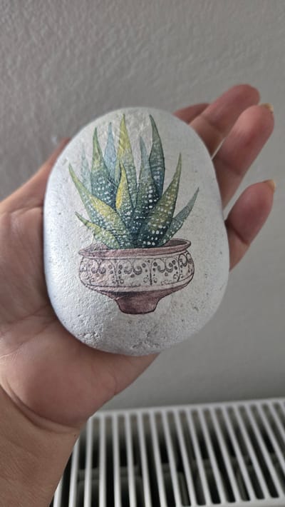 A person's hand holds a smooth, white, oval-shaped rock decorated with an image of a potted succulent plant. The succulent has pointed, variegated green and yellow leaves with white spots. It is depicted in a small, ornate pot with a brown base and a white, patterned rim. The background is a textured, light gray wall and a white radiator with vertical slats.