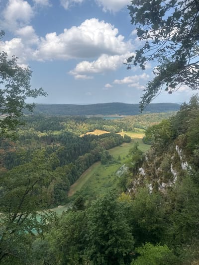 This is a high-angle, wide shot capturing a panoramic view of a lush, verdant valley under a partly cloudy sky. The foreground is dominated by the branches of large, leafy trees framing the scene from the top and left. A rugged, rocky cliff face covered in sparse vegetation rises from the right side of the frame.
Below, the valley unfolds with a mix of dense, dark green conifer forests and lighter green deciduous trees. A winding path or road, appearing as a lighter strip, cuts through the forest and leads to a sunlit, open meadow of golden-yellow grass. Further in the distance, a body of turquoise water, likely a river or lake, is visible, reflecting the blue of the sky. The landscape stretches into rolling hills covered in trees, with a hazy horizon.
The environment is a natural, outdoor setting. The lighting suggests it is daytime, with sunlight filtering through the clouds and illuminating parts of the valley. The scene is peaceful and serene, with no people or animals visible. The location is identified as La Chaux-du-Dombief, France.