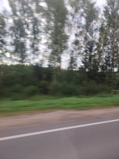 This is a motion-blurred image of a landscape, likely taken from a moving vehicle in Ryabinki, Russia. In the foreground, a grey asphalt road with a white line is visible, indicating a paved surface. Beyond the road, there is a strip of green grass or vegetation. Further back, a dense line of dark green trees forms a forest, with lighter green foliage interspersed. Above the trees, the sky is visible, with streaks of light and dark clouds that are also blurred by motion. The overall impression is one of rapid movement through a natural, wooded environment.