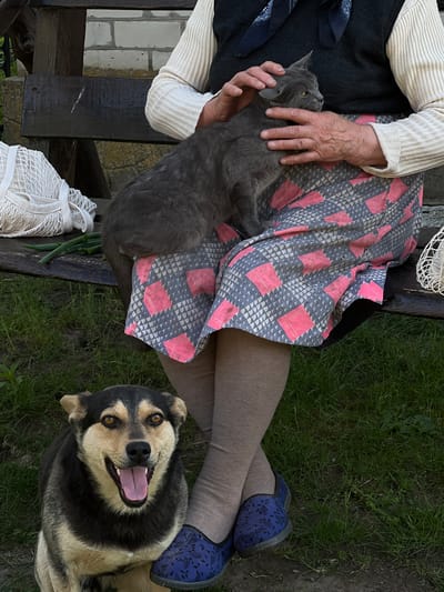 A woman sits on a wooden bench outdoors, holding a gray cat. She wears a cream-colored long-sleeved shirt, a dark vest, a patterned skirt with pink and gray geometric designs, and gray tights. Her hands are gently stroking the cat's head. A small, mixed-breed dog with black and tan fur is seated on the grass in front of the bench, looking directly at the camera with its mouth open in a happy expression. To the left of the woman on the bench is a white mesh bag and some green onions. The background shows green grass and a blurred brick structure. The scene is likely in Vertelka, Ukraine, given the context.