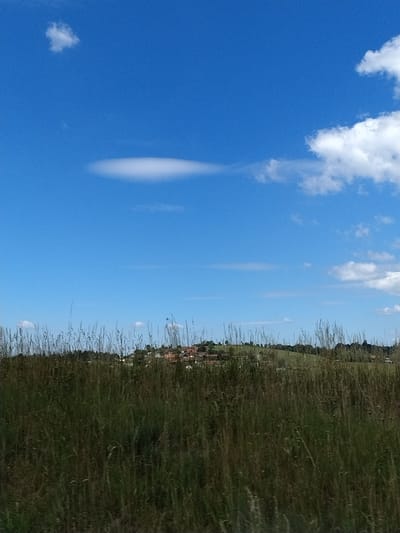 The image depicts a rural landscape under a bright blue sky with scattered white clouds. In the foreground, tall green grass and reeds dominate the lower half of the frame. Beyond the grass, a rolling green hill is visible, dotted with trees and a cluster of buildings that appear to be houses with red roofs, suggesting a small village or settlement. The architecture and landscape are consistent with the Bavarian region of Germany, specifically the area around Röhrnbach. The lighting suggests it is daytime, likely late morning or afternoon, given the clear sky and the shadows cast. There are no people or animals visible in the scene, and no apparent actions are taking place. The environment is natural and tranquil, with a sense of open space and rural quietude.
