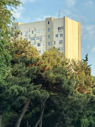 The image captures a multi-story apartment building in Baku, Azerbaijan, set against a backdrop of a partly cloudy sky. The building, predominantly a light gray color, features numerous windows, some with blue panes and others with white frames. A portion of the building on the right side is painted a distinct yellow. Prominently in the foreground, a dense collection of pine trees with green needles partially obscures the lower levels of the apartment complex. Some of the pine trees show evidence of cones. In the upper right quadrant of the building's roof, a metal structure resembling an antenna or communication tower is visible. The scene suggests a residential area in Baku, possibly with a park or a green space adjacent to the building.