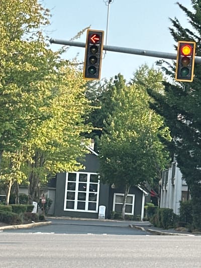 In North Lynnwood, United States, a street view captures a traffic light with a red arrow illuminated, indicating a left turn is prohibited. To its right, another traffic signal displays a yellow light. Trees with green foliage frame the scene, with a dark building featuring large, white-paned windows visible behind the trees. The street in the foreground appears to be asphalt.