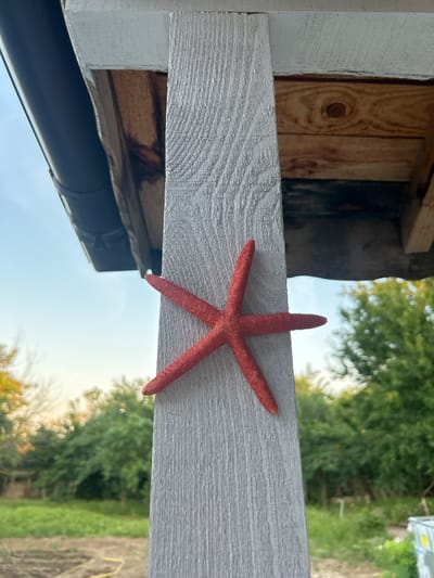 A red starfish is attached to a vertical, pale gray wooden post. The post has a wood grain texture and appears to be part of an outdoor structure, possibly a porch or shed. Above the post, a dark gray gutter runs horizontally. The background is blurred, showing greenery from trees and foliage, a clear sky, and a hint of an outdoor area. The scene is outdoors, with no people visible. The location is identified as Salmanovo, Bulgaria.