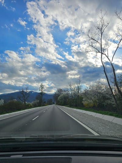 An eye-level shot, rotated 90 degrees counter-clockwise, shows a road stretching into the distance, framed by a vibrant sky with scattered clouds. Trees line the roadside, some bare and others in bloom. A mountain range appears faintly behind the trees. The image appears to be taken from inside a vehicle, as part of the window frame is visible on the right. While this scene depicts a road landscape, there is nothing in the image to confirm its location within the city of Mezdreya, Bulgaria.