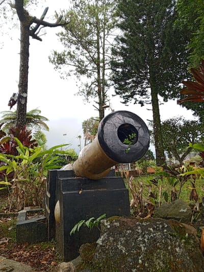 This image depicts a static historical monument within an outdoor, vegetated setting in the city of Weinten, Liberia. The primary subject is a weathered, light brown cannon barrel with a dark grey/black muzzle and trunnions, mounted on a dark grey/black, block-like carriage. Small green plant growth is visible inside the cannon's muzzle. The cannon is positioned on a slight incline, angled upwards and to the right.

In the immediate foreground, to the bottom right, large, moss-covered rocks are present. The ground around the cannon and carriage is covered with scattered dry leaves and various green and reddish-leafed plants, some partially obscuring the base of the monument.

To the left of the cannon, a thick-trunked tree with gnarled branches and attached white, heart-shaped decorations stands prominently. Other dense green foliage, including large fern-like plants and broad-leafed plants, surrounds the cannon.

The background features multiple tall trees, including those with needle-like leaves characteristic of conifers and others with more sparse branching. The sky is overcast and bright, suggesting diffused lighting. In the far distance, beyond the foliage and haze, faint outlines of utility poles or streetlights and other distant structures are discernible, hinting at a developed area beyond the immediate greenspace. No people are visible, and no actions or interactions are occurring; the scene is entirely static.