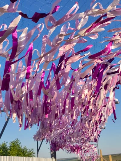 The image shows a close-up, low-angle view of a canopy made of numerous pink and purple ribbons against a clear blue sky. The ribbons are of varying shades of pink and purple, some appearing lighter and more translucent, while others are a deep, vibrant magenta. They are attached to a dark mesh or netting, which is suspended from a frame of dark poles visible in the background. The ribbons are blowing and fluttering in the wind, creating a dynamic and festive effect.
Below the ribbon canopy, a white fence is visible, and beyond that, a hint of greenery from trees and a distant body of water or landscape under a bright, sunny sky, suggesting it is daytime. The scene appears to be outdoors, possibly at an event or a decorative installation. The lighting indicates a sunny day, with the sunlight reflecting off the satin-like surfaces of some ribbons. The overall mood conveyed is cheerful and celebratory. No people are visible in the frame, and there is no visible text. The location context provided is Nechaiane, Ukraine.