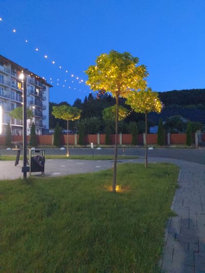 The image depicts a night scene in what is identified as Сонячне, Ukraine. In the foreground, a paved walkway runs alongside a grassy area. A black trash receptacle stands on the walkway near a lamppost. Several trees with decorative lights are scattered across the scene. The tree closest to the foreground is illuminated with warm yellow lights, as are two smaller trees to its left.
In the mid-ground, a long, low fence made of reddish-brown planks separates the grassy area from a road. Beyond the fence, a row of evergreen trees stands, and further in the background, a residential building with multiple balconies and illuminated windows is visible. String lights are draped across the sky above the building and trees, creating a festive atmosphere. The sky is a deep blue, indicating twilight or night. The overall impression is one of a residential area or park setting at dusk, enhanced by decorative lighting. There are no people visible in the image.