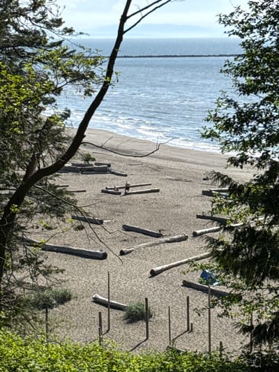 The image presents a view of a beach, likely located in Electoral Area A, Canada. The beach stretches towards a body of water, possibly the ocean, under a sky with some haze or cloud cover. Logs and driftwood are scattered across the sand. The scene is framed by trees and vegetation in the foreground, both above and to the sides. Some of the structures have a metal ladder attached.