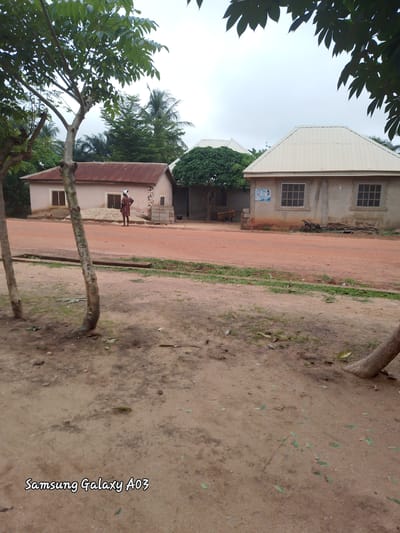A street scene in Doka-Tofa, Nigeria, shows two houses on either side of a dirt road. The house on the left has a pink exterior and a corrugated metal roof. A person in a striped shirt and white head covering stands in front of it. The house on the right is concrete with a light-colored metal roof and multiple windows. A poster is visible on its exterior wall. Trees with green foliage are present in the foreground and background, framing the view of the houses. The ground is a mix of dirt and sand, with some scattered leaves and patches of grass. The sky is overcast.