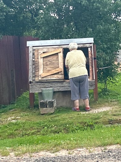A woman with grey hair is standing with her back to the camera, reaching into a wooden structure with a metal roof. She is wearing a light-colored striped shirt and grey shorts. In front of the wooden structure, a silver bucket sits on a small, weathered wooden crate. The structure is located in a grassy area, with a rusty corrugated metal fence to the left and lush green trees in the background. The scene appears to be outdoors, possibly in a rural or suburban setting in Vereiki, Russia.
