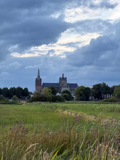The image depicts a view of the Sint-Janskathedraal (St. John's Cathedral) in 's-Hertogenbosch, Netherlands, seen from a green, grassy field. The cathedral, a large Gothic structure with a prominent tower, is located in the background behind a line of trees. The sky is overcast with dark, dramatic clouds. The foreground is dominated by tall, green grass and some flowering plants, with a path or impression visible in the grass. There appear to be a few figures in the distance within the field, but their details are indistinct. The overall impression is of a serene, somewhat moody landscape with a significant architectural landmark.