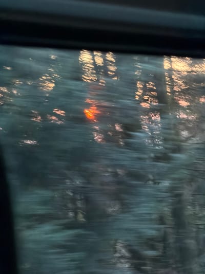 The image presents a blurry, motion-streaked view captured from inside a vehicle, with a dark horizontal car window frame at the top, looking out into a natural environment in Le Saulcy, France. The scene depicts a dense, forested area rendered abstract by motion blur, creating vertical and horizontal streaks of dark teal, blue-green, and gray foliage. A distinct, bright orange-red light source, likely the sun, is prominent in the mid-left, casting warm hues across parts of the upper and central areas of the foliage. No individuals, specific man-made objects within the natural scene, or discernible actions are depicted.
