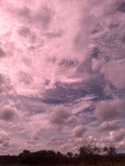 The image depicts a sky filled with pink and purple clouds, suggesting either a sunset or a stylized artistic filter. Below the sky, a dark silhouette of trees and foliage stretches across the bottom of the frame. The environment appears to be natural and undeveloped. There are no people or specific landmarks visible that would allow for the identification of Buengpageu, Indonesia.