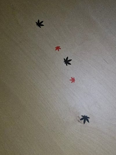 The image depicts a light brown textured surface with five black leaves and two red leaves, positioned in an uneven line, running from the top-left to the bottom-right corner of the image. The leaves are arranged in a pattern. The location is in the city of Alba Iulia, Romania, at coordinates 46.085, 23.594. The image captures the surface of a wall, possibly inside a building. There is no indication of any people or objects within the scene.