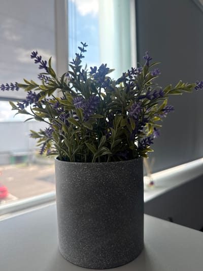 The image features an artificial lavender plant housed in a dark gray, cylindrical pot with a speckled, matte texture. The plant displays numerous slender green leaves and small, vibrant purple flower spikes, characteristic of lavender. It is positioned indoors on a surface, adjacent to a window, though the image itself is oriented ninety degrees counter-clockwise.

Through the window, a bright, partially cloudy sky is visible, indicating that the photograph was taken during the daytime. The outdoor environment beyond the window is softly blurred, but suggests an open area, possibly a street or a distant building line, with diffuse light. A faint red object can be discerned in the blurred outdoor background. The overall scene is illuminated by natural light streaming in from the window.

There are no people present, and no specific activity is depicted. No text is visible anywhere within the frame. While the context of Sanctorum, Mexico, is provided, the visual details within the image are not distinct enough to confirm this specific geographical location. The focus is entirely on the decorative plant and its immediate surroundings.