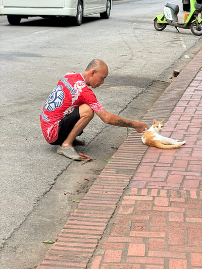 A bald, middle-aged man wearing a red t-shirt with a white and blue design and black shorts is crouching on a grey asphalt street. He is reaching out with his left hand, touching the back of an orange and white cat that is lying on a red brick sidewalk. The cat is looking towards the man. In the background, a white van is parked on the street, and a green scooter is visible. The scene appears to be in the city of Luang Prabang, Laos, given the style of the brickwork and the presence of the scooter, common in Southeast Asia.