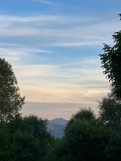 An outdoor, vertical, medium shot captures a serene landscape at dusk, framed by the dark silhouettes of trees. The foreground is dominated by lush, green foliage, creating a natural border on the left and right sides of the image. In the distance, rolling hills transition into the soft hues of the twilight sky. The sky itself is a canvas of pale blue, streaked with wispy, horizontal clouds that are tinged with a warm, peachy glow near the horizon, suggesting the last remnants of sunlight. The overall impression is one of tranquility and natural beauty, characteristic of the Valkosel region in Bulgaria. There are no people or discernible objects in the image, only the expansive natural environment.