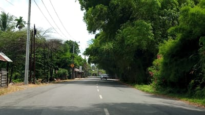 The image depicts a straight, paved road in Dayah Kampong Pisang, Indonesia, under a partly cloudy sky. Lush green foliage, primarily bamboo trees, lines the right side of the road, forming a dense canopy that extends over the roadway in places. On the left side of the road, there are scattered trees, utility poles with numerous wires, a simple shelter with a rusted metal roof, and a few small buildings. A yellow traffic sign with a zigzag symbol is visible on the left side, indicating a winding road ahead. Two vehicles, a white SUV and a darker vehicle, are traveling away from the camera on the road. The environment appears to be rural or semi-rural, with a mix of natural vegetation and sparse human infrastructure.